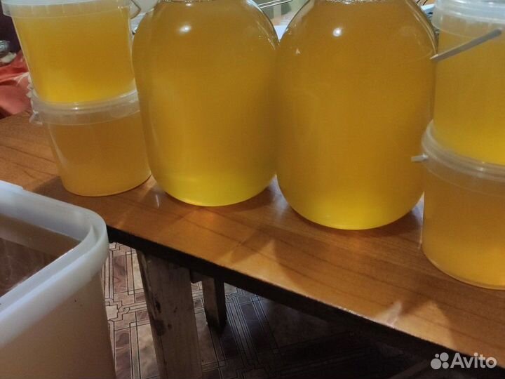 Мёд из Башкирии чисто липа свежий 2023