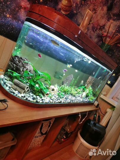 Аквариум