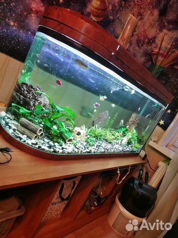 Аквариум