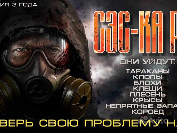 Видео игра stalker