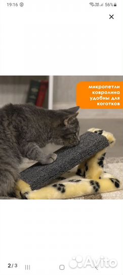 Когтеточка