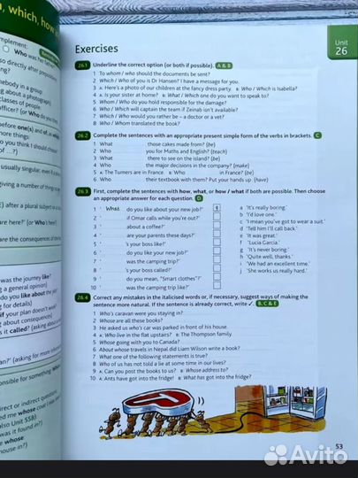 Advanced grammar in use