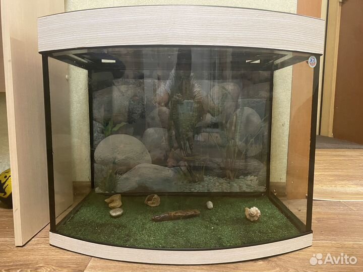 Аквариум панорамный