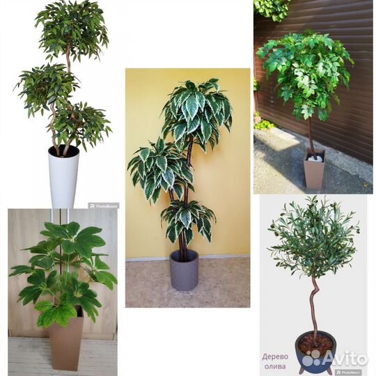 Искусственное дерево IKEA пальма лимон стрелиция