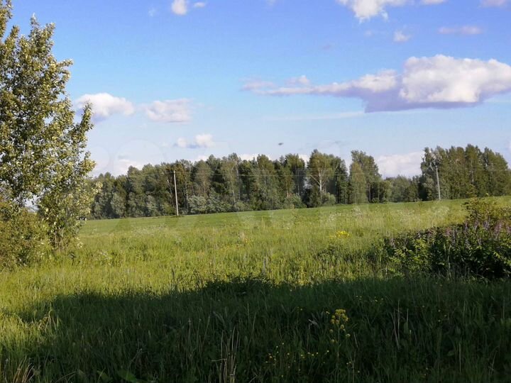 Дом 40 м² на участке 15 сот.