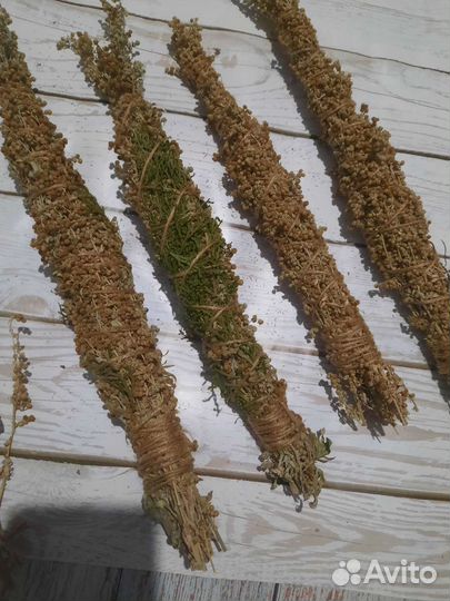 Скрутки из трав полынь