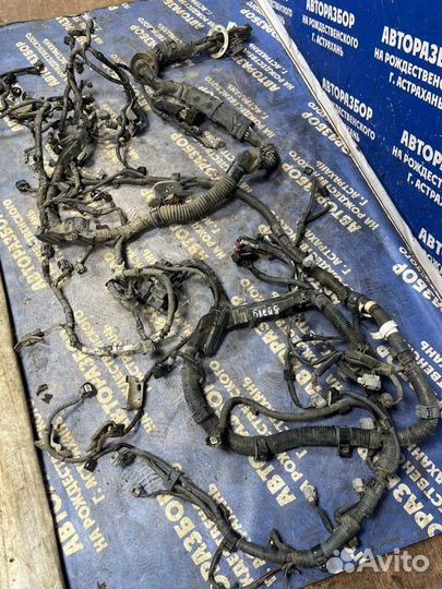 Проводка подкапотная Toyota Blade хэтчбек 2GR-FE