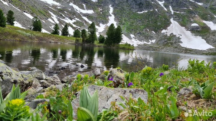 Эндуро туры Горный Алтай