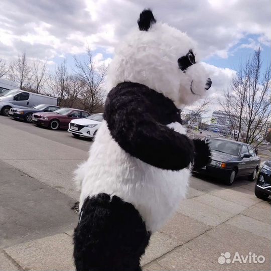 Поздравление от Панды