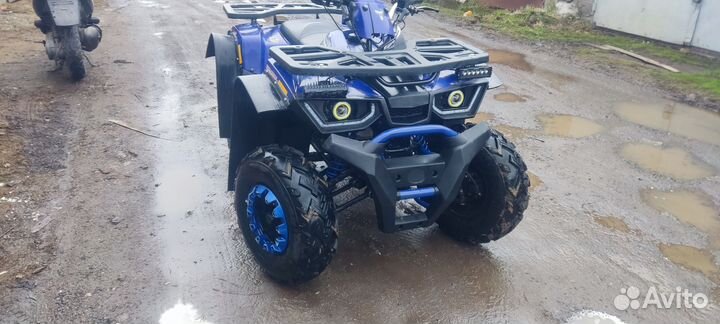 Avantis Hunter 200 Big Premium