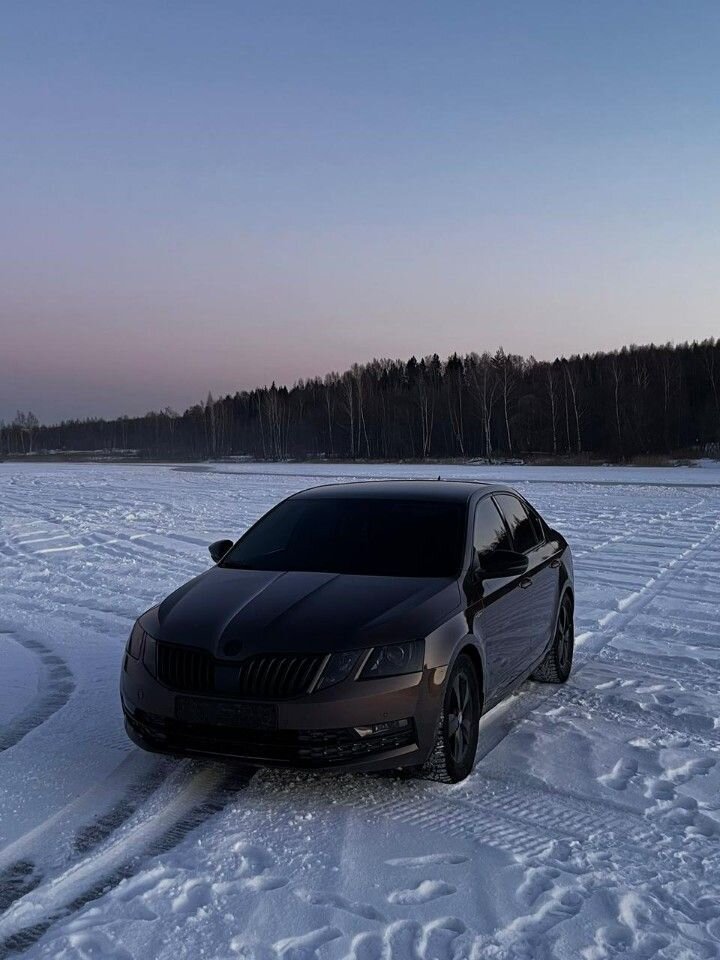 Skoda Octavia: фото владельца
