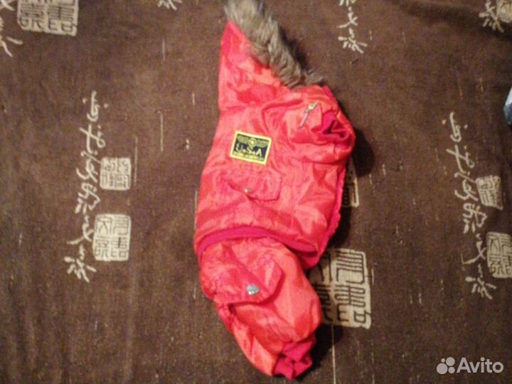 Одежда для маленьких собак