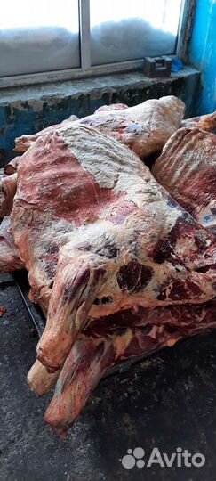 Мясо говяжье-быки молодняк заморозка