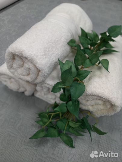 Зелень для украшения интерьера