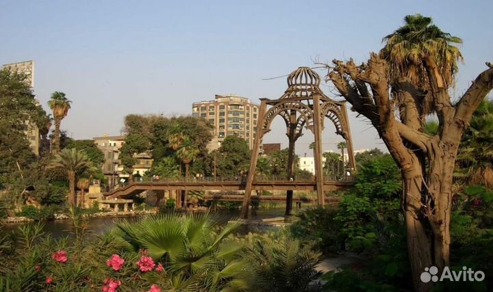 Загрантур в Egypt 7 дн