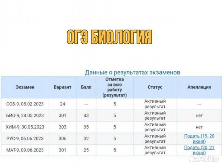 Репетитор по Биологии онлайн огэ и егэ