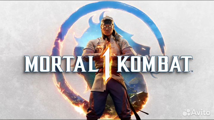 Mortal Kombat 1 Premium (2023) - Steam, пк