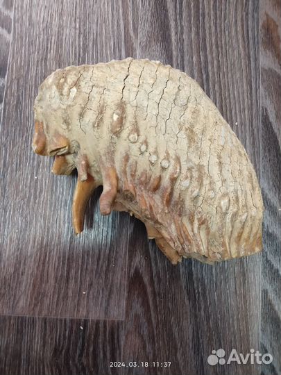 Зуб мамонта