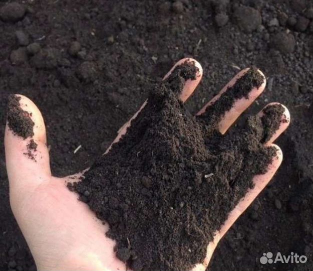 Купить чернозем