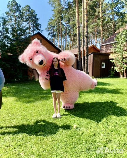 Поздравление белые медведи ростовые куклы