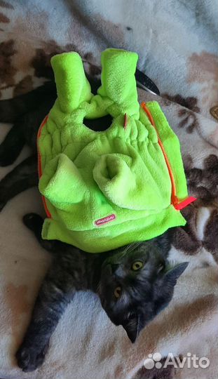 Комбинезон для маленькой собаки