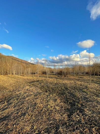 Участок 20 сот. (ИЖС)