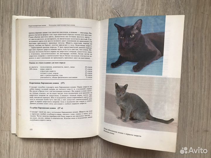 Книга « Атлас пород кошек»