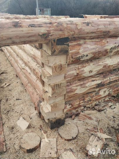 Сруб для бани 3х5