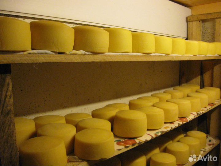 Сыр Фермерский из 100% молока, без добавок