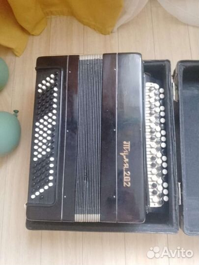 Баян тула 202