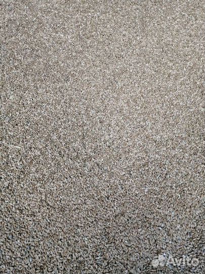 Пшеница в мешках