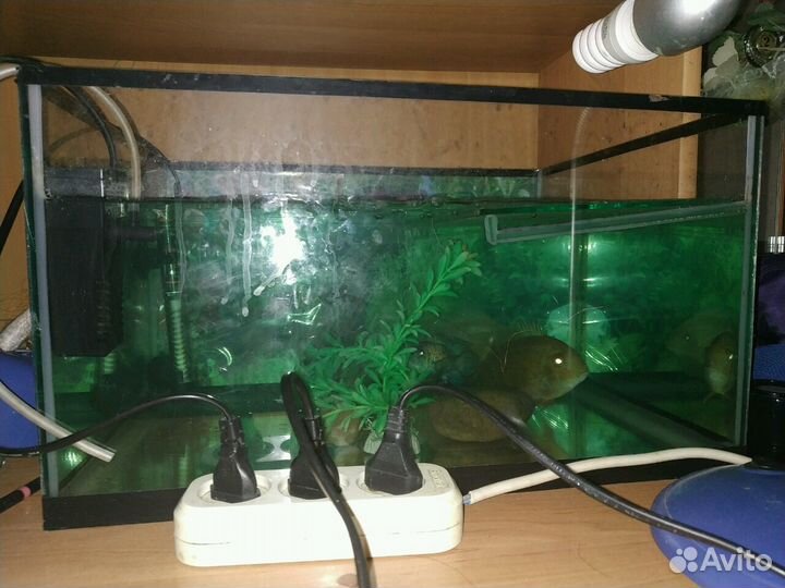 Аквариум 50 л