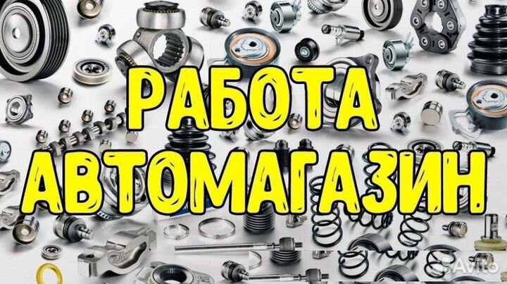 Продавец консультант в магазин автозапчастей