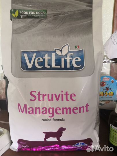 Корм лечебный для собак