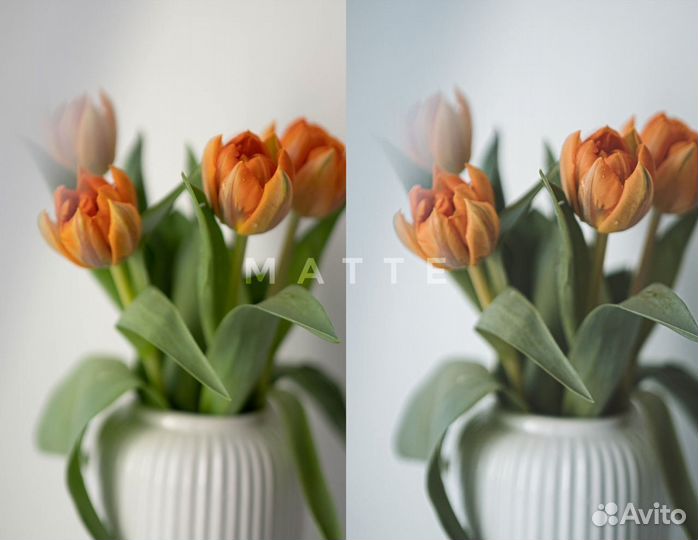 Пресеты, вдохновленные природой