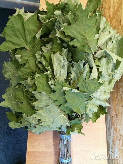 Веники для бани.Береза,Клен,Липа