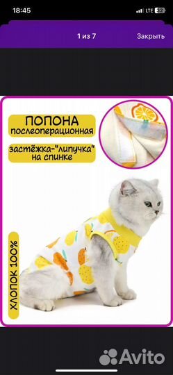 Попона для кошек и собак мелких пород