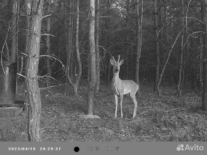 Фотоловушка 20mpi