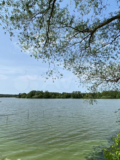 Участок 25 сот. (ИЖС)