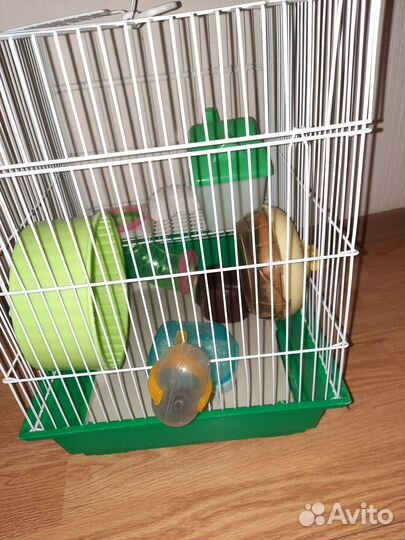 Клетка для грызунов бу