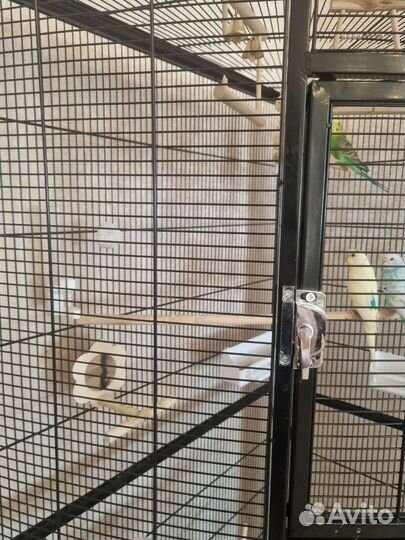 Клетка для попугаев