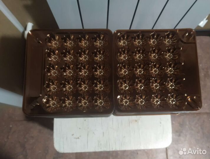 Контейнер для перепелиных яиц