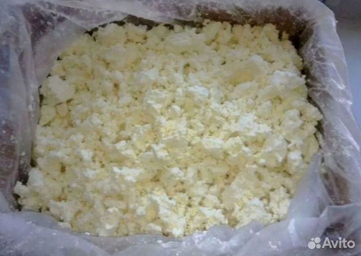 Творог оптом от 100 кг