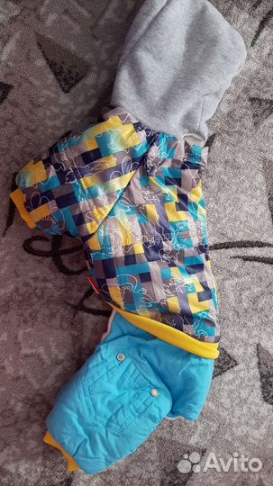 Ошейник и комбинезон мелкому щенку