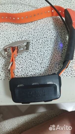 Garmin ошейник т 5