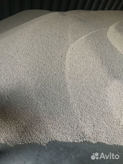 Семена Гороха