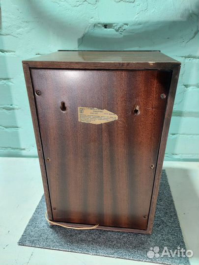 Колонки с усилителем, блютусом,радио,флешкой