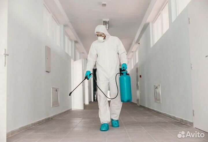 Уничтожение Клопов Тараканов. Дезинфекция