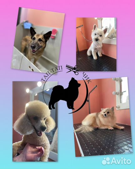 Стрижка собак