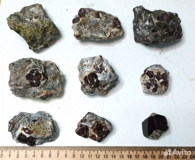 Грант разных видов